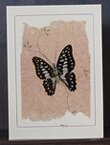 Butterfly card by OldBags